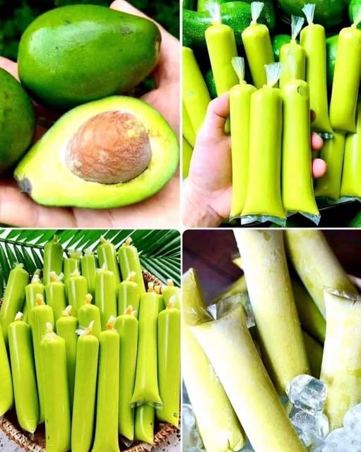 Avocado Ice Candy Recipe